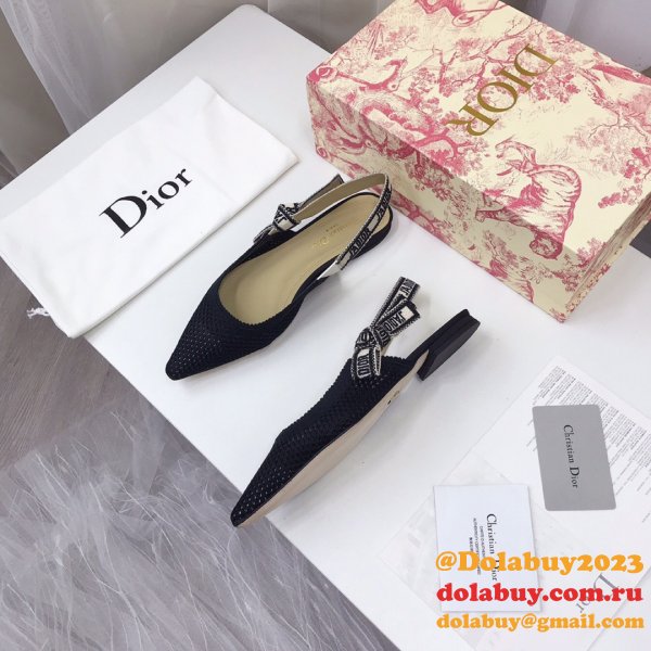 Luxury High Quality Fashion Designer Dior Shoes