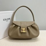 Top Quality Celine POLLY Triomphe 115633 handbag