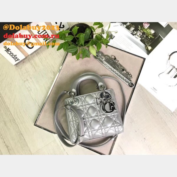 AAA+ Christian Lady Dior Handbags Online Purchase MINI 17CM