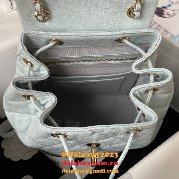 Designer Replica AS4059 Backpacks for Dolabuy Sale 25CM