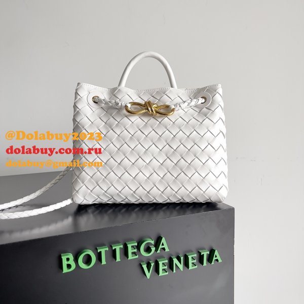 BOTTEGA VENETA ANDIAMO Small 25cm Bag Leather Strap