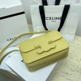 1:1 Replica Celine Triomphe Teen Luxury Handbag