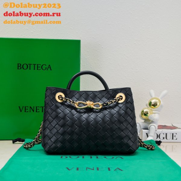 Top Quality BOTTEGA VENETA ANDIAMO small 25cm tote bag