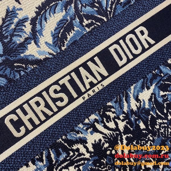 Best Quality Christian Dior Book Tote Bag